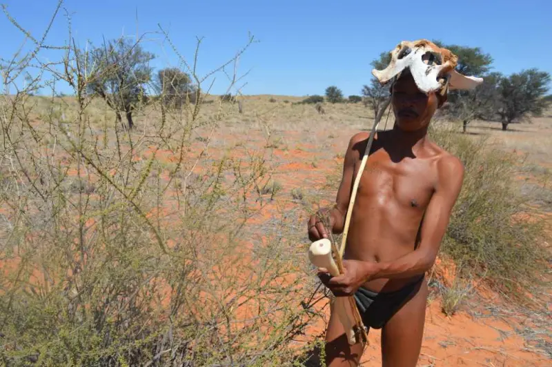 bushman Kalahari