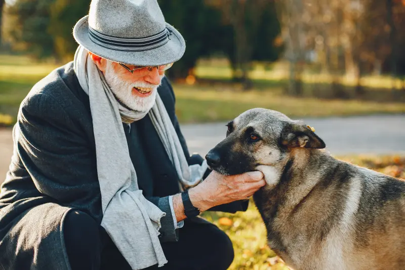 elegant old man sunny autumn park dog Forrás: Freepik