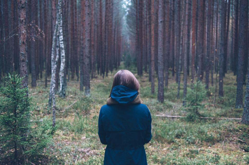 a-person-standing-alone-in-a-dense-forest-of-trees