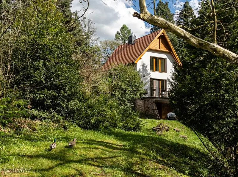 Agostyáni Arborétum. Fotó: Váradi Vivien Eszter