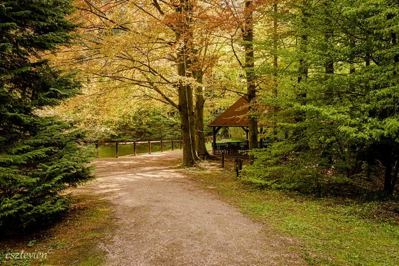 Agostyáni Arborétum. Fotó: Váradi Vivien Eszter
