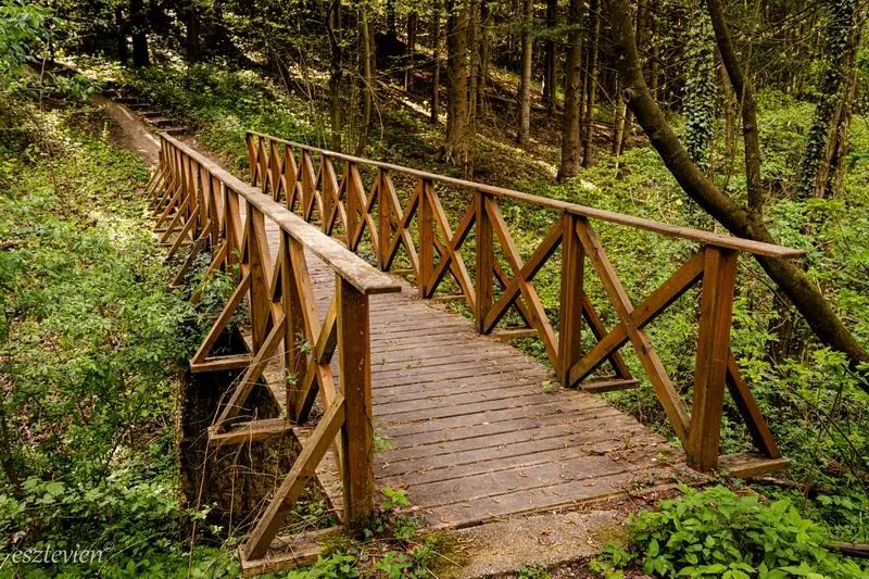 Agostyáni Arborétum. Fotó: Váradi Vivien Eszter