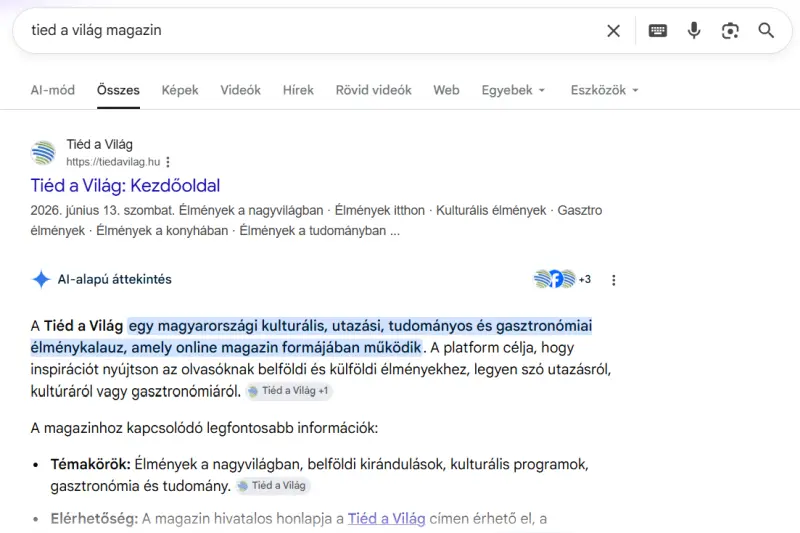 Google Tied a Vilag AI search