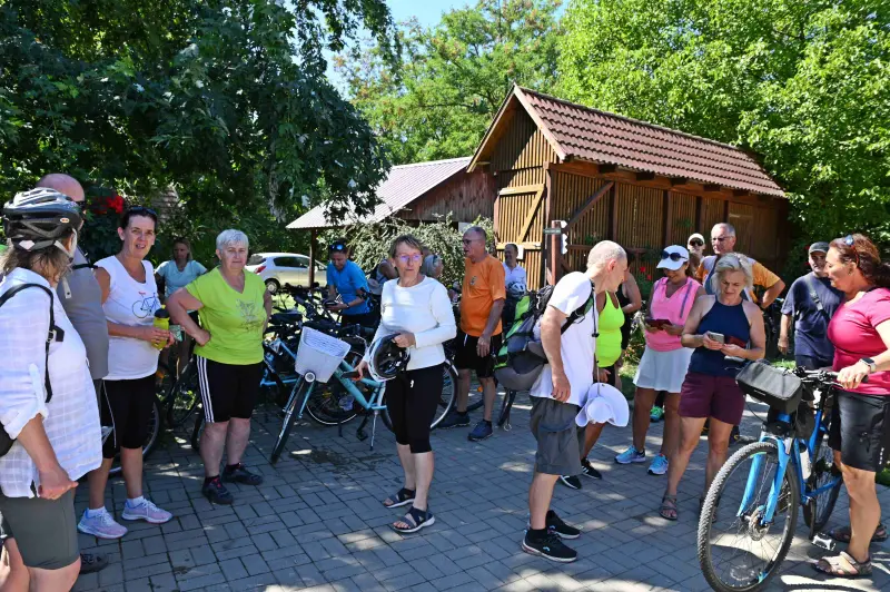 Forrás: Nyitott Porta Napok
